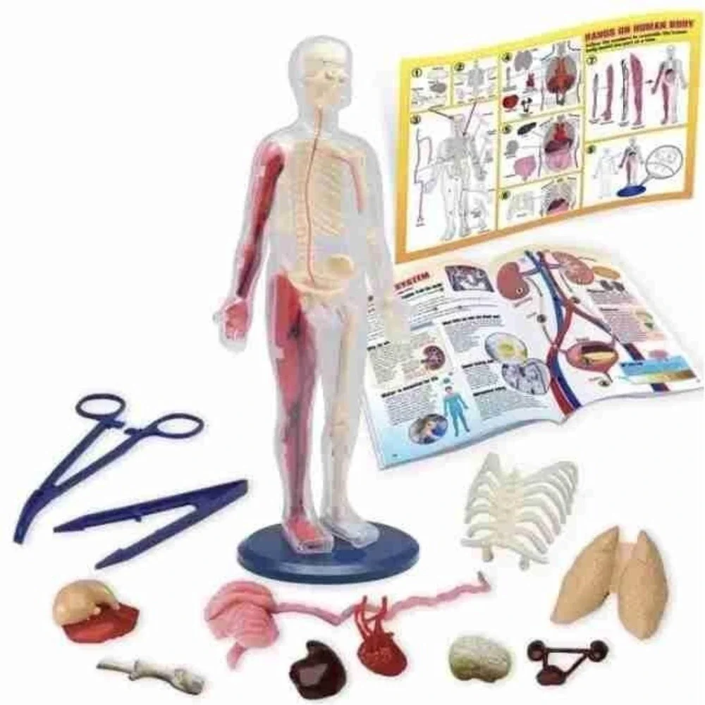Wild Science - Hands On Human Body Model Science Kit 38 Piece, Anatomy Book STEM